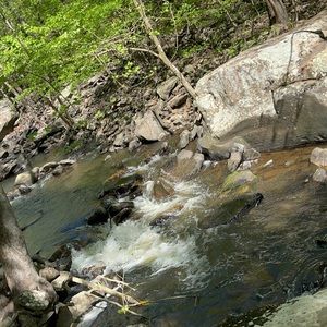 Meet your Posher, Jim